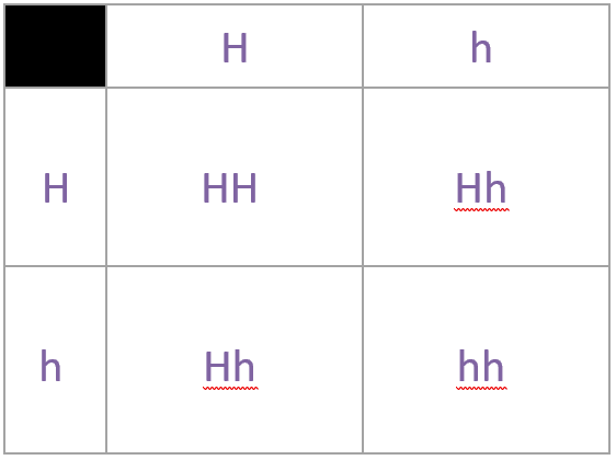 Punnett Square Practice